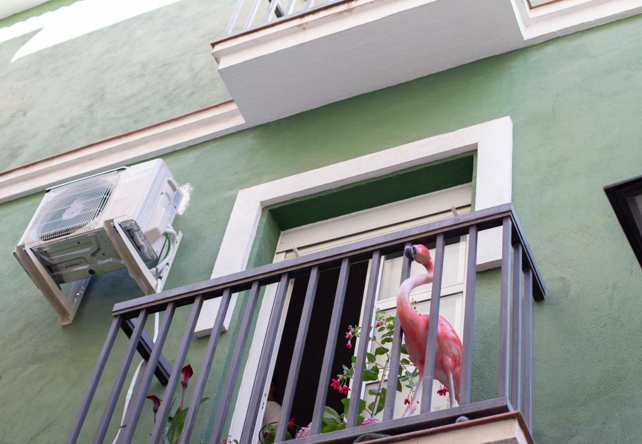 Appartement Flamingo *