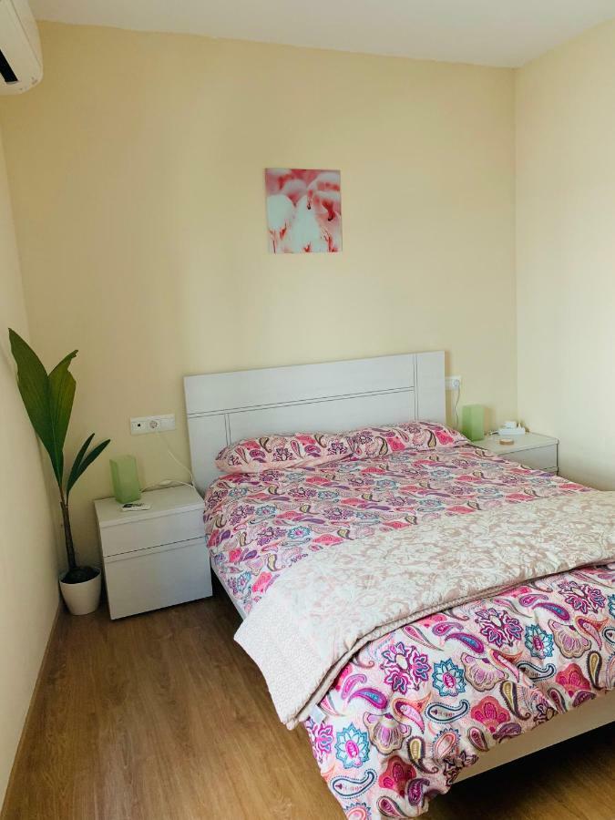 Flamingo Appartement *