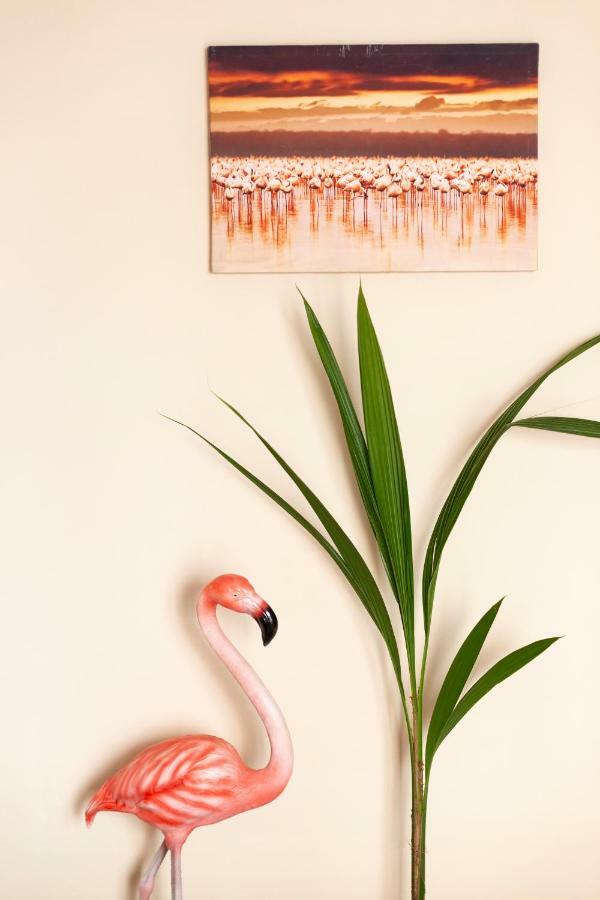 Flamingo Leilighet